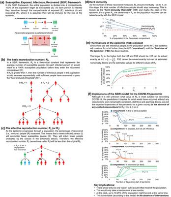 What Lessons can Be Learned From the Management of the COVID-19 Pandemic?